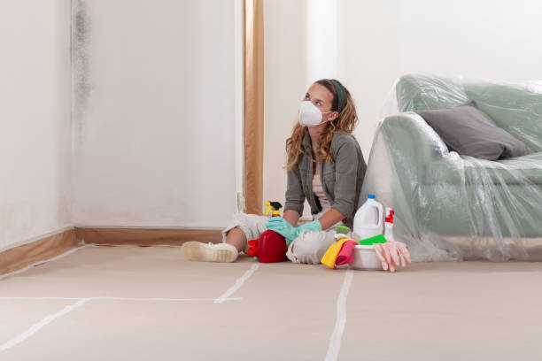 Reliable Commercial Mold Remediation contractor in Christiana, TN by WQB Mold Removal